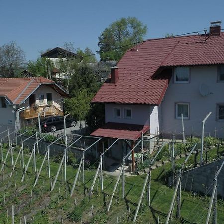Apartment House Sumrak Bizeljsko Luaran gambar